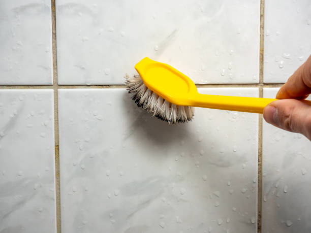 Best Mold Remediation for Specific Building Types in Falling Waters, WV